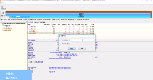 DiskGenius如何设置卷标？DiskGenius设置卷标的操作方法