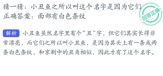 福昕PDF编辑器怎么连续浏览多个页面？福昕PDF编辑器连续浏览多个页面教程