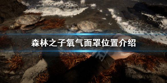 《森林之子》氧气面罩在哪里？氧气面罩位置介绍