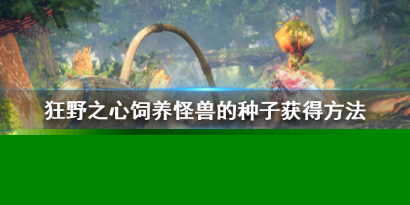 《狂野之心》饲养怪兽的种子怎么获得？饲养怪兽的种子获得方法