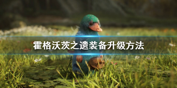 《霍格沃茨之遗》装备等级怎么提升？装备升级方法
