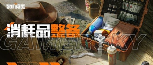 黎明觉醒消耗品准备攻略 消耗品带什么好