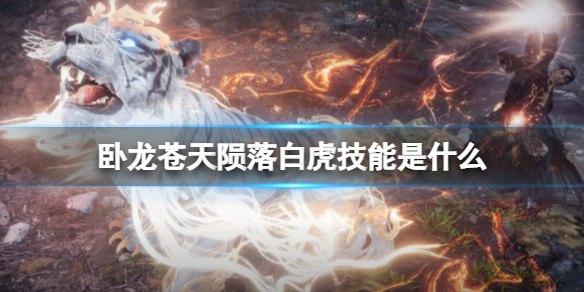 《野火流明》盾卫职业介绍 坚守阵地的坦克