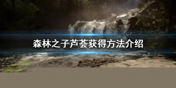 《森林之子》芦荟怎么采集?芦荟获得方法介绍