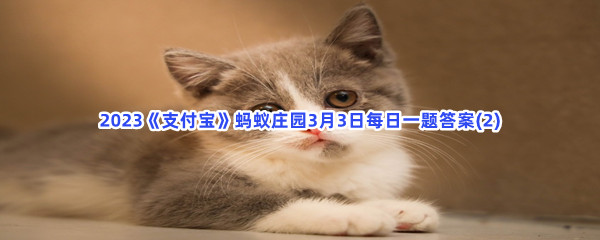 凌云诺祭酒大典问题答案最新一览