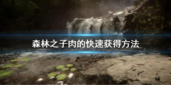 《森林之子》怎么快速获得肉？肉的快速获得方法