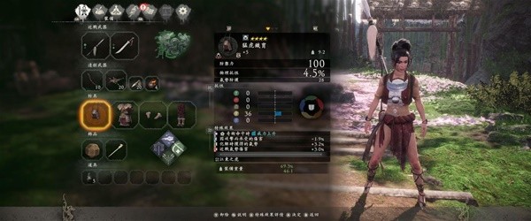 《卧龙苍天陨落》开荒向配装加点推荐 开荒套装与词条选择建议