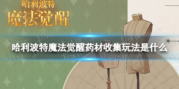 《哈利波特魔法觉醒》药材收集玩法怎么玩 药材收集玩法内容