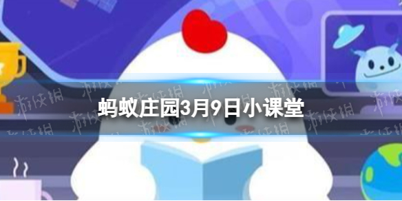 霓虹深渊鸡肉汉堡有什么用?霓虹深渊鸡肉汉堡作用介绍