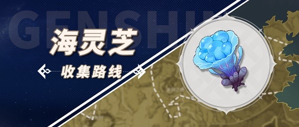 《原神》3.5版海灵芝收集路线分享