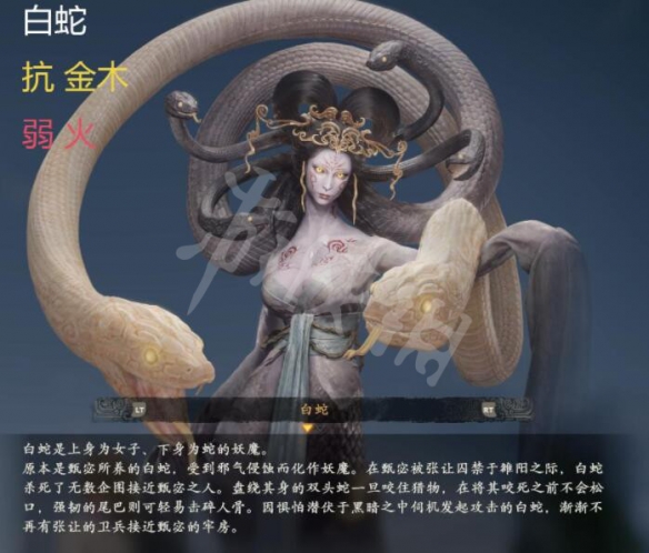 《卧龙苍天陨落》怪物弱点是什么？怪物弱点图鉴一览