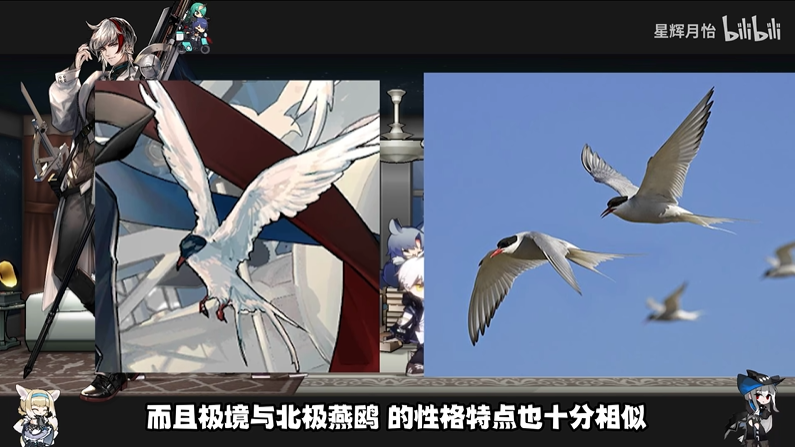明日方舟角色的动物原型介绍 最详细角色动物原型科普