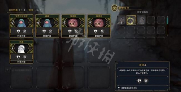 《霍格沃兹之遗》夜骐怎么培育？亡灵之驹任务玩法攻略