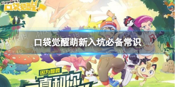 《口袋觉醒》萌新入坑必备常识 口袋觉醒萌新要注意哪些