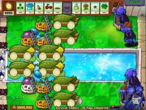 《植物大战僵尸》经典梯子8炮流教程  8炮流怎么玩？