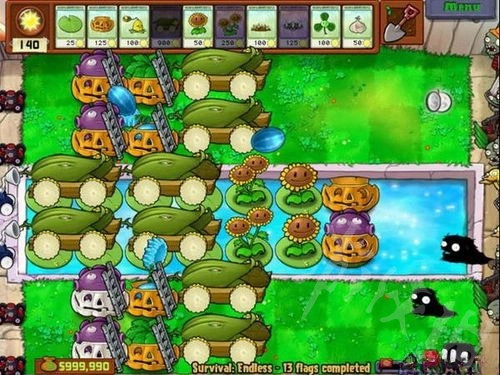 《植物大战僵尸》经典梯子8炮流教程  8炮流怎么玩？