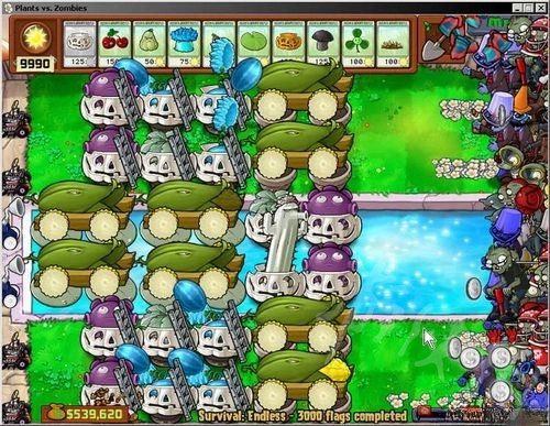 《植物大战僵尸》经典梯子8炮流教程  8炮流怎么玩？
