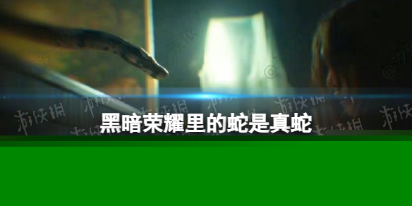 原神白术等级突破材料详解