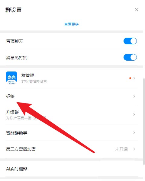 钉钉怎么将群名添加标签备注-钉钉将群名添加标签备注方法