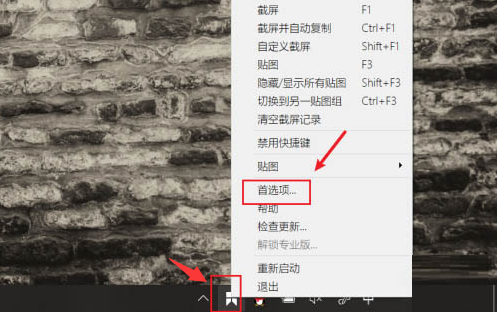 Snipaste怎么开启截屏锚点显示-Snipaste开启截屏锚点显示方法