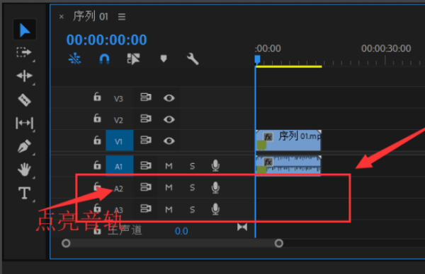 premiere怎么使用录音轨道-pr视频录制画外音的技巧