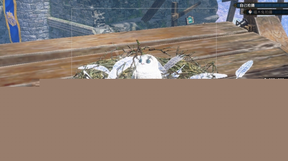 《怪物猎人崛起 曙光》福木兔在哪里？福木兔拍照攻略