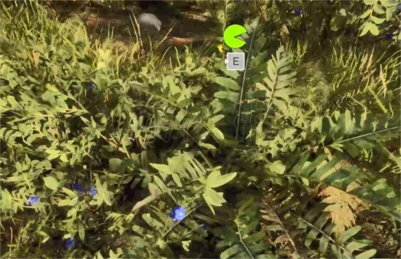 《森林之子》怎么辨别果子有没有毒？辨别果子有没有毒方法