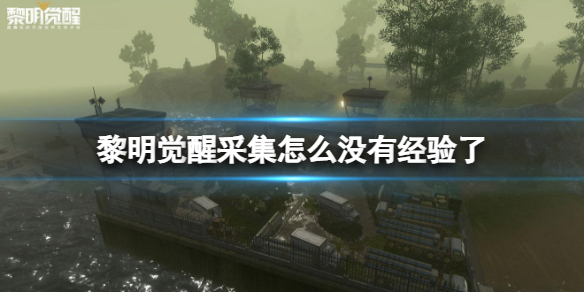 《黎明觉醒》采集怎么没有经验了 采集经验获得介绍