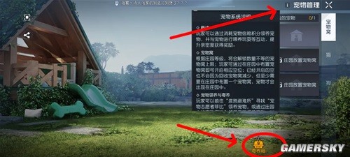 黎明觉醒宠物系统详解 怎么养宠物