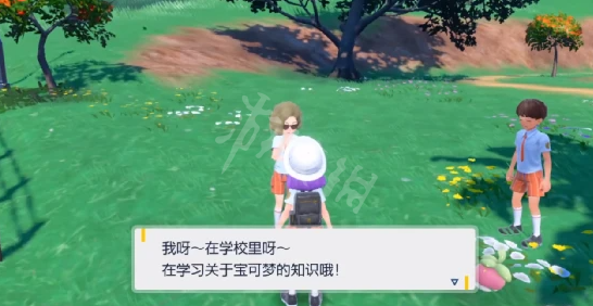 《宝可梦朱紫》萌新入坑怎么玩？新人入坑指南