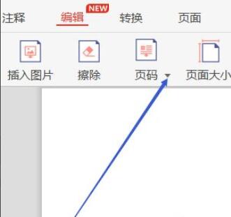 极光PDF阅读器怎么给文档插入页码-极光PDF阅读器给文档插入页码方法