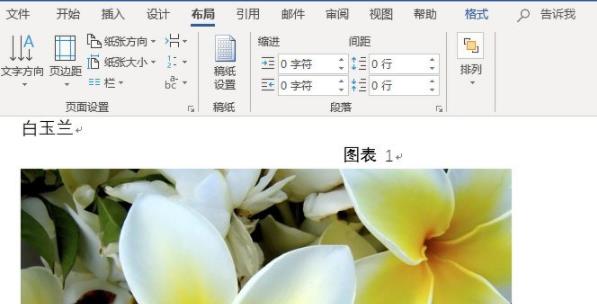 word图片怎么设置统一大小-word图片设置统一大小方法