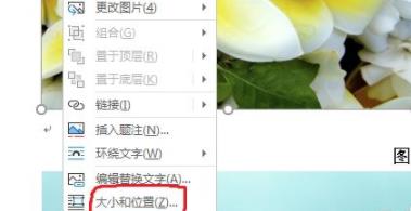 word图片怎么设置统一大小-word图片设置统一大小方法