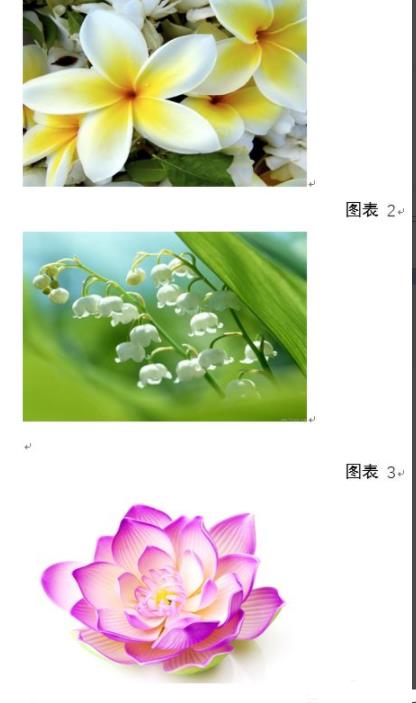 word图片怎么设置统一大小-word图片设置统一大小方法