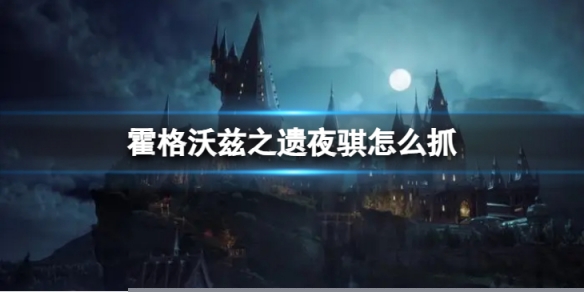 《霍格沃兹之遗》夜骐怎么抓？ 抓夜骐的方法