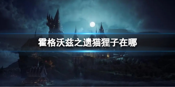《霍格沃兹之遗》猫狸子在哪？ 猫狸子位置一览