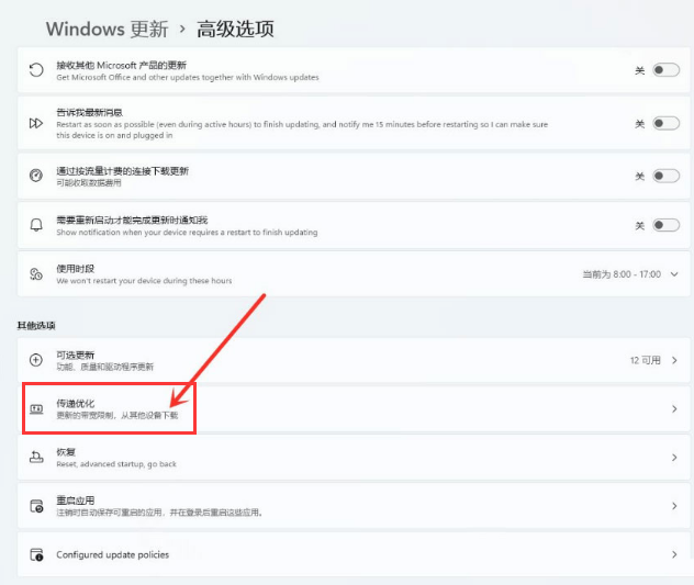 Windows11怎么开启传递优化功能-Windows11开启传递优化功能方法