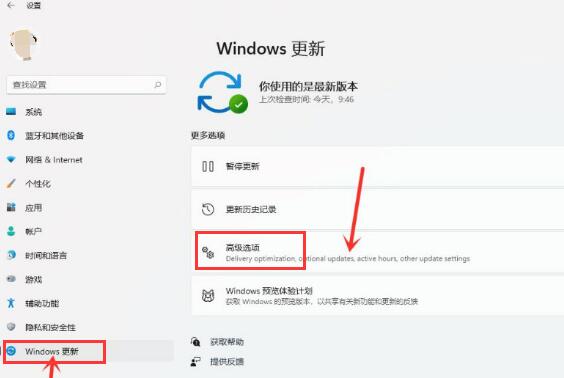 Windows11怎么开启传递优化功能-Windows11开启传递优化功能方法