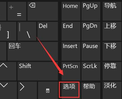 Windows11键盘失灵怎么办-Windows11键盘失灵解决办法