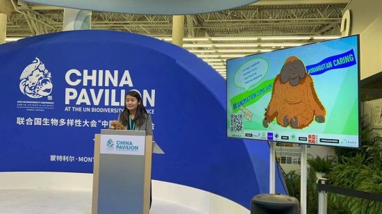 游戏产业“绿色转型” 《林中人》登上联合国生物多样性大会
