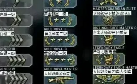 csgo有段位吗
