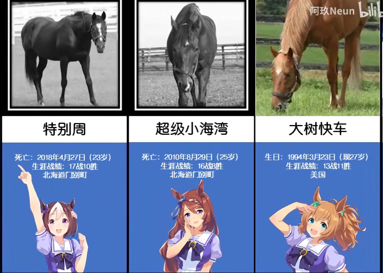 赛马娘手游主角原型介绍 闪耀优俊少女角色原型是什么