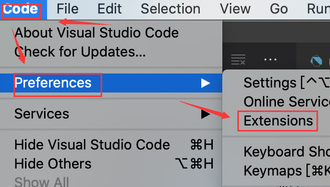 vscode怎么删除扩展插件-vscode删除扩展插件方法