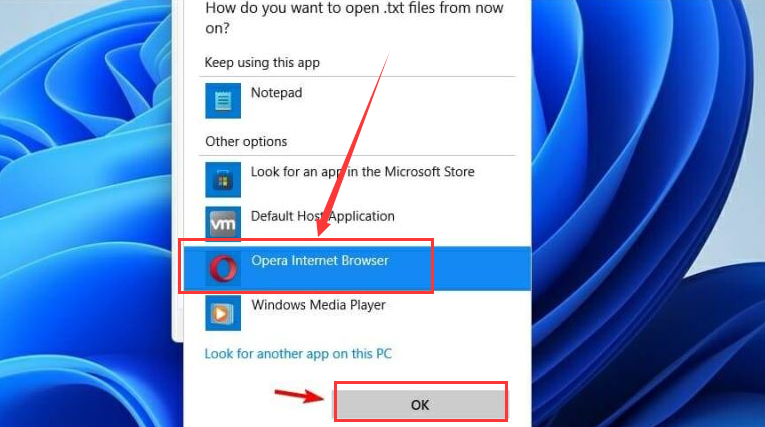 windows11默认打开方式怎么改?windows11更改应用程序属性方法介绍