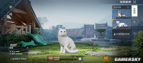 黎明觉醒带猫猫出门小技巧 怎么带猫猫出门