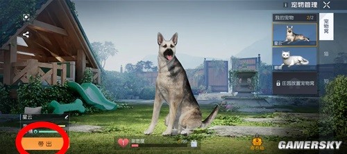 黎明觉醒带猫猫出门小技巧 怎么带猫猫出门