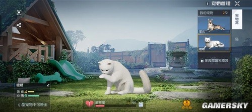 黎明觉醒带猫猫出门小技巧 怎么带猫猫出门