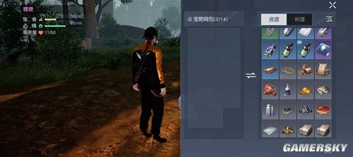 黎明觉醒带猫猫出门小技巧 怎么带猫猫出门