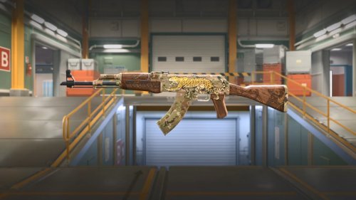 《CS2》继承全部库存饰品 武器模型焕然一新