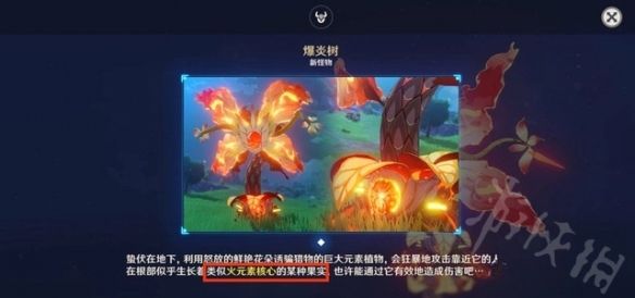 《原神》无相之火和爆炎树爆率对比分析   哪个爆率最高？